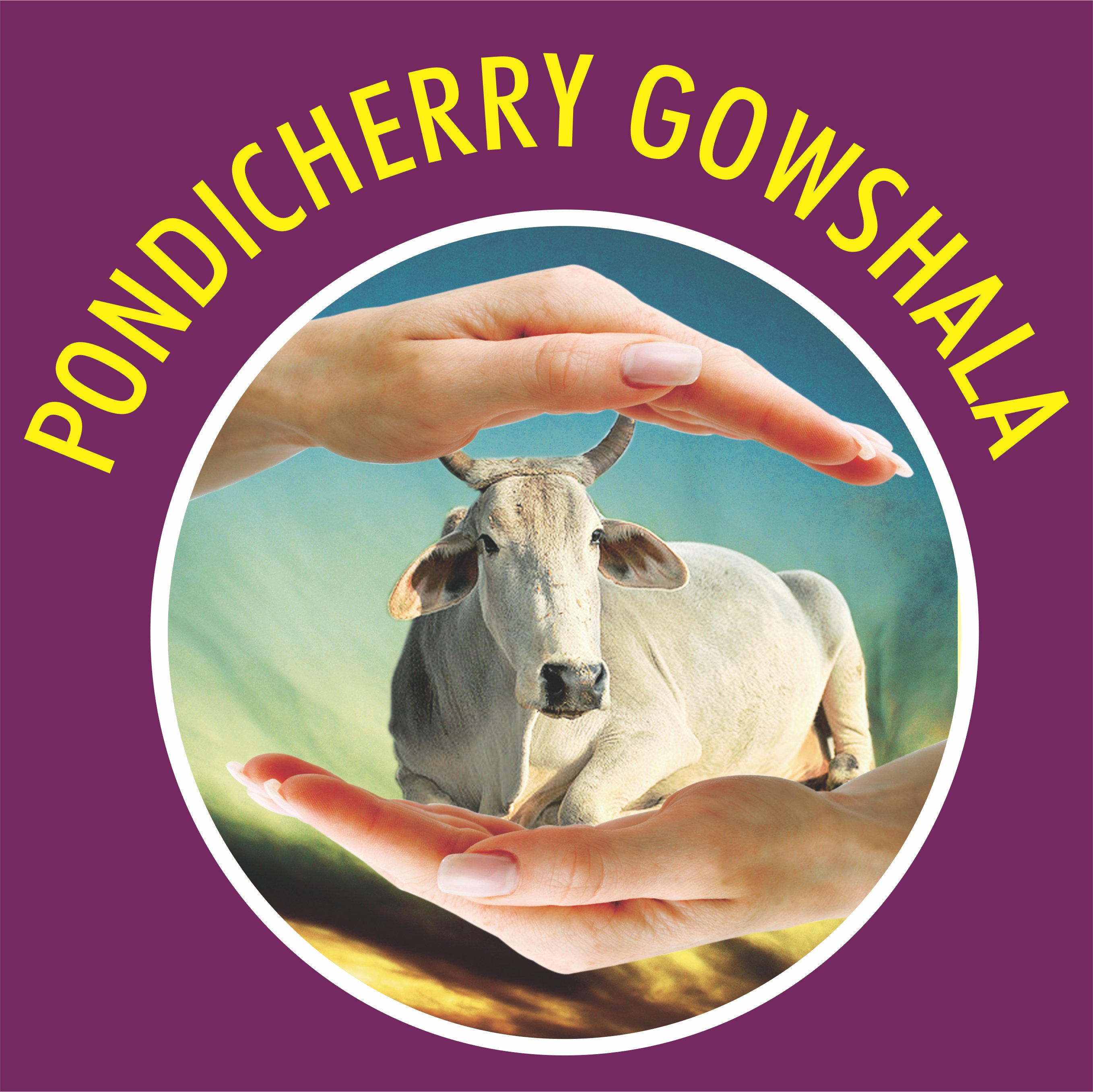                PONDICHERY GAUSHALA                        (SJJPPRF)       