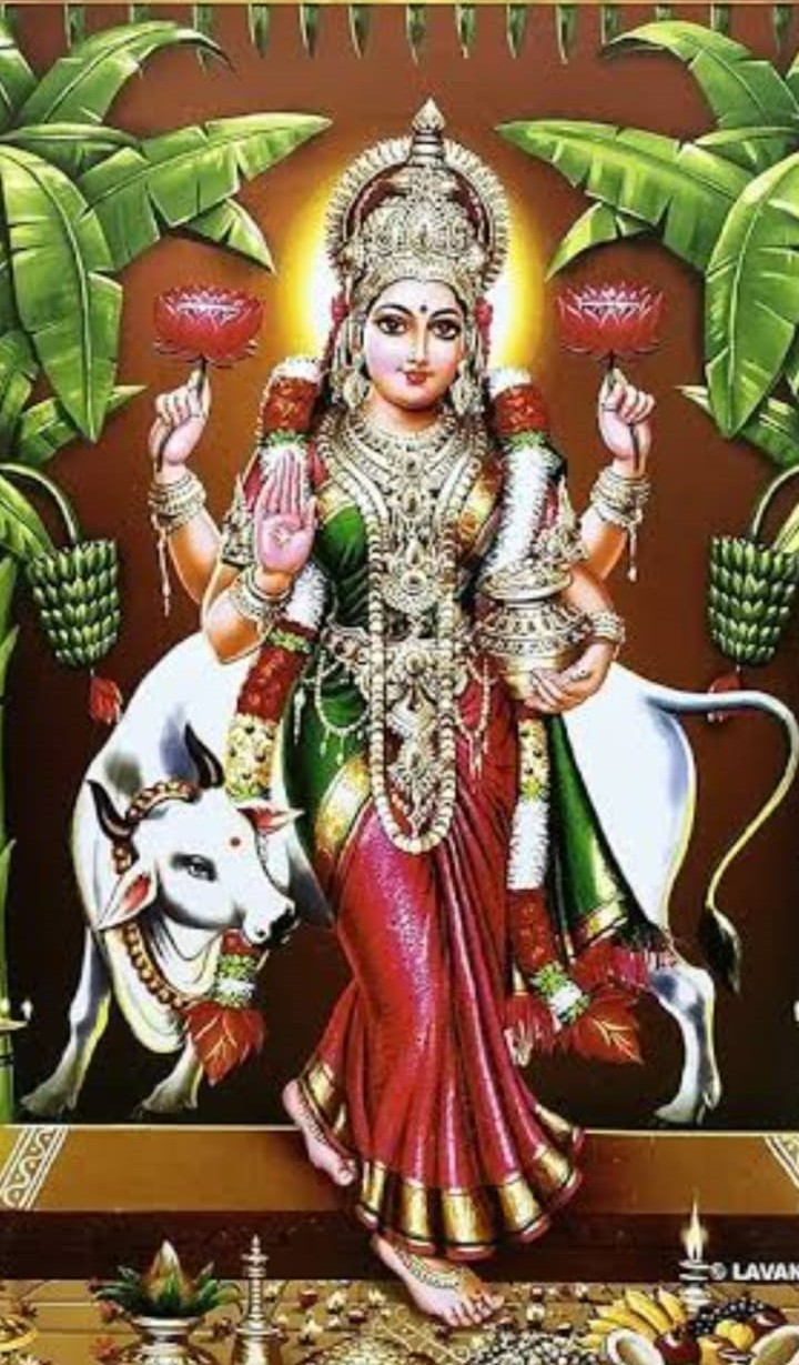 Shree Laxmi go palan sanstha