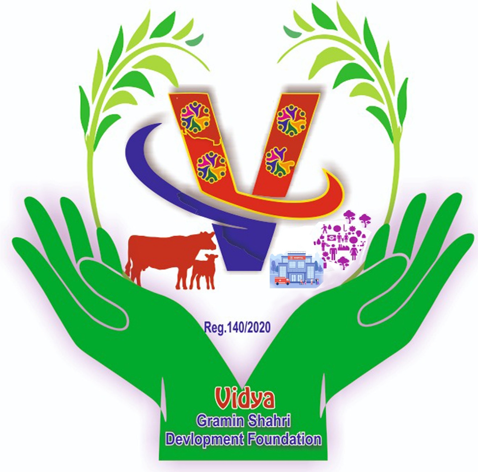 VIDYA GRAMIN SHAHRI DEVELOPMENT FOUNDATION