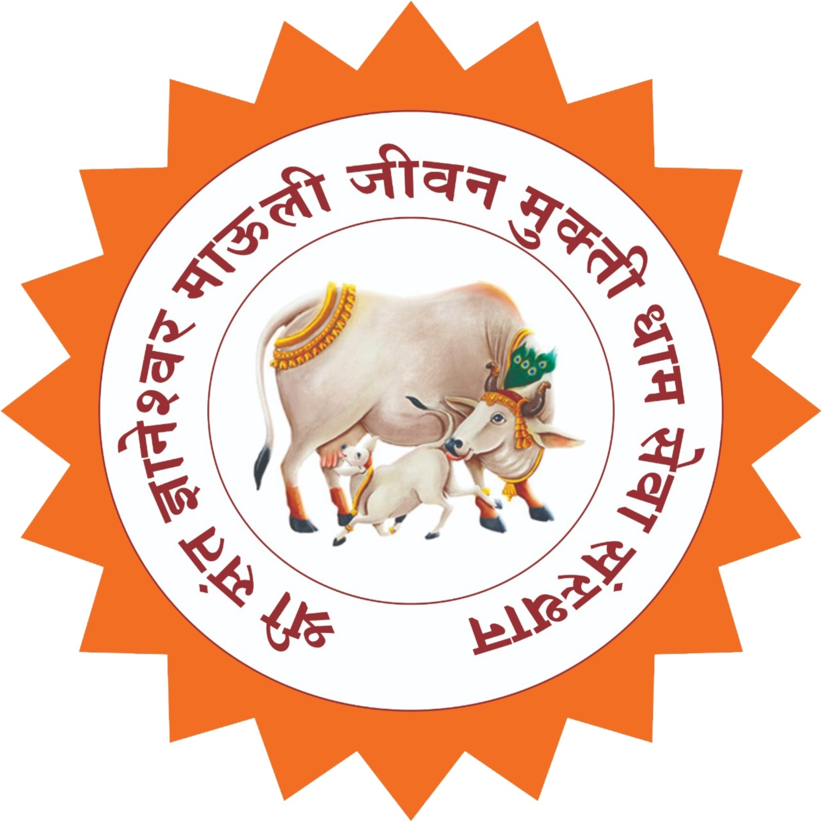 SHRI SANT DNYANESHWAR MAULI JIVAN MUKTIDHAM SEVA SANSTHAN