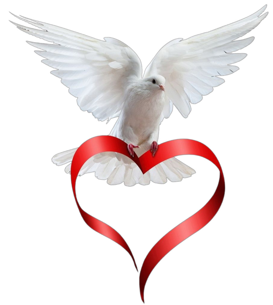 Save Birds Kandivali