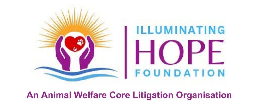 Illuminating Hope Foundation